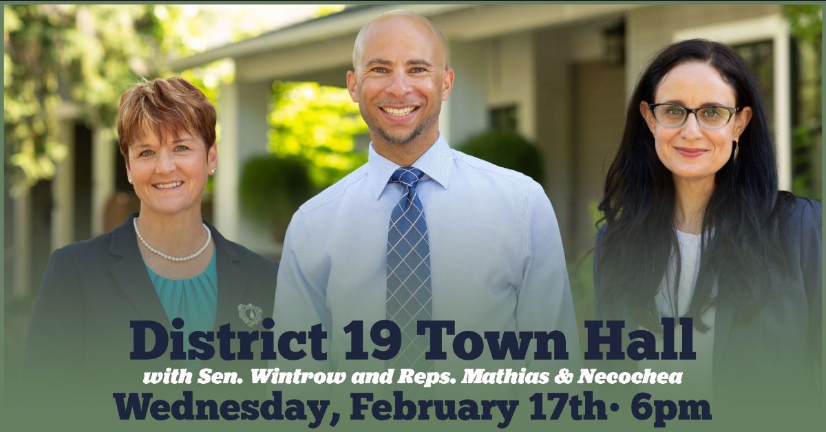 District 19 Virtual Town Hall | February 17, 2021